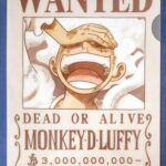 麦わらストアポイント交換特典