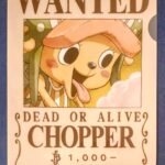 麦わらストアポイント交換特典