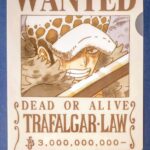 麦わらストアポイント交換特典