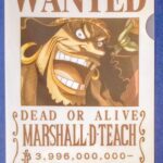 麦わらストアポイント交換特典