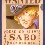 麦わらストアポイント交換特典