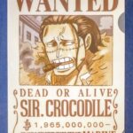 麦わらストアポイント交換特典