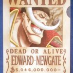 麦わらストアポイント交換特典