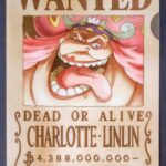 麦わらストアポイント交換特典